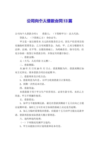 公司向个人借款合同13篇
