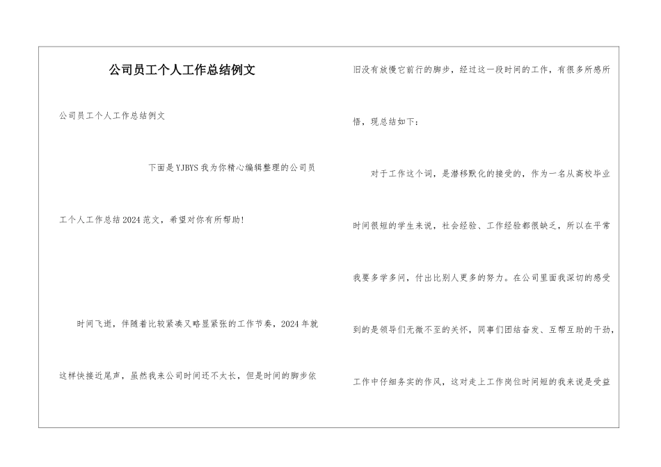 公司员工个人工作总结例文_第1页
