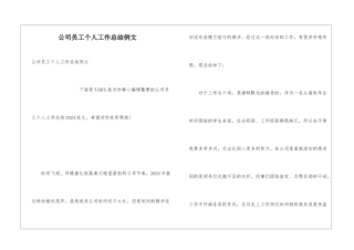 公司员工个人工作总结例文