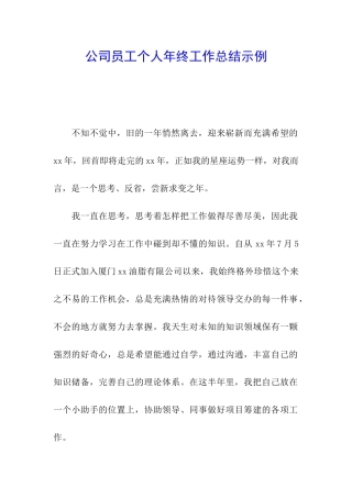 公司员工个人年终工作总结示例