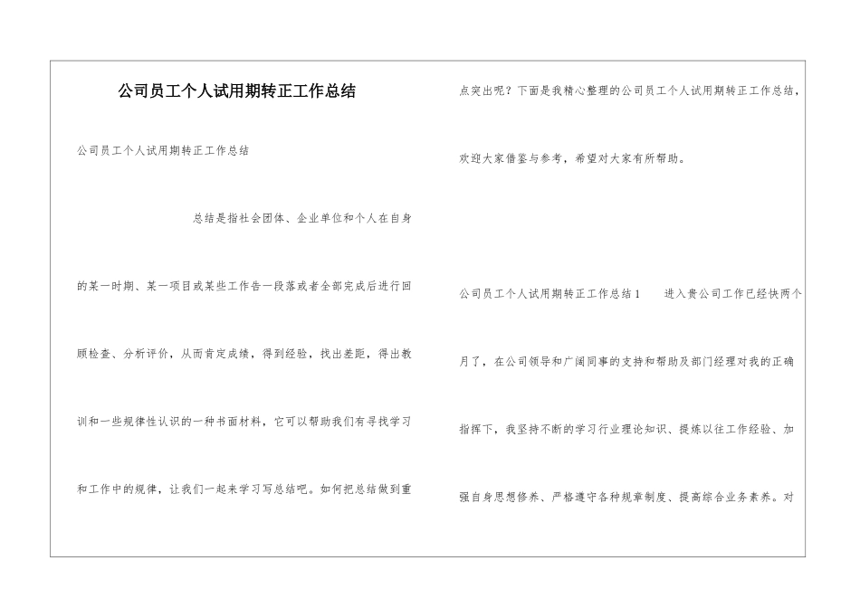 公司员工个人试用期转正工作总结_第1页