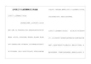 公司员工个人试用期转正工作总结