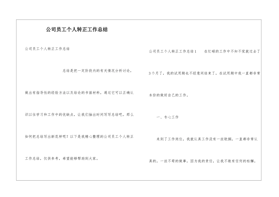 公司员工个人转正工作总结_第1页
