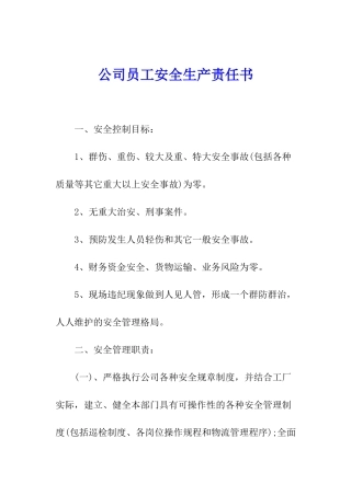 公司员工安全生产责任书