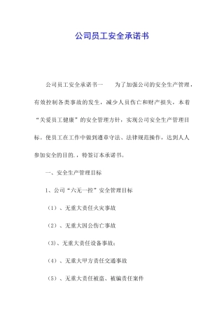 公司员工安全承诺书