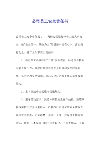 公司员工安全责任书