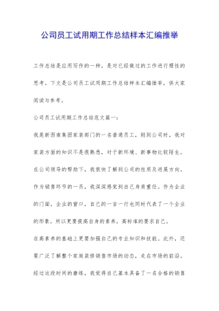 公司员工试用期工作总结样本汇编推荐-