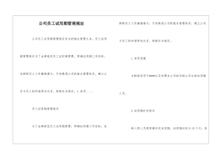 公司员工试用期管理规定--