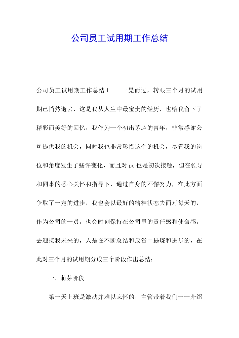 公司员工试用期工作总结_第1页