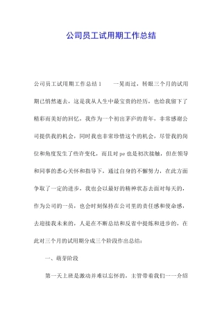 公司员工试用期工作总结