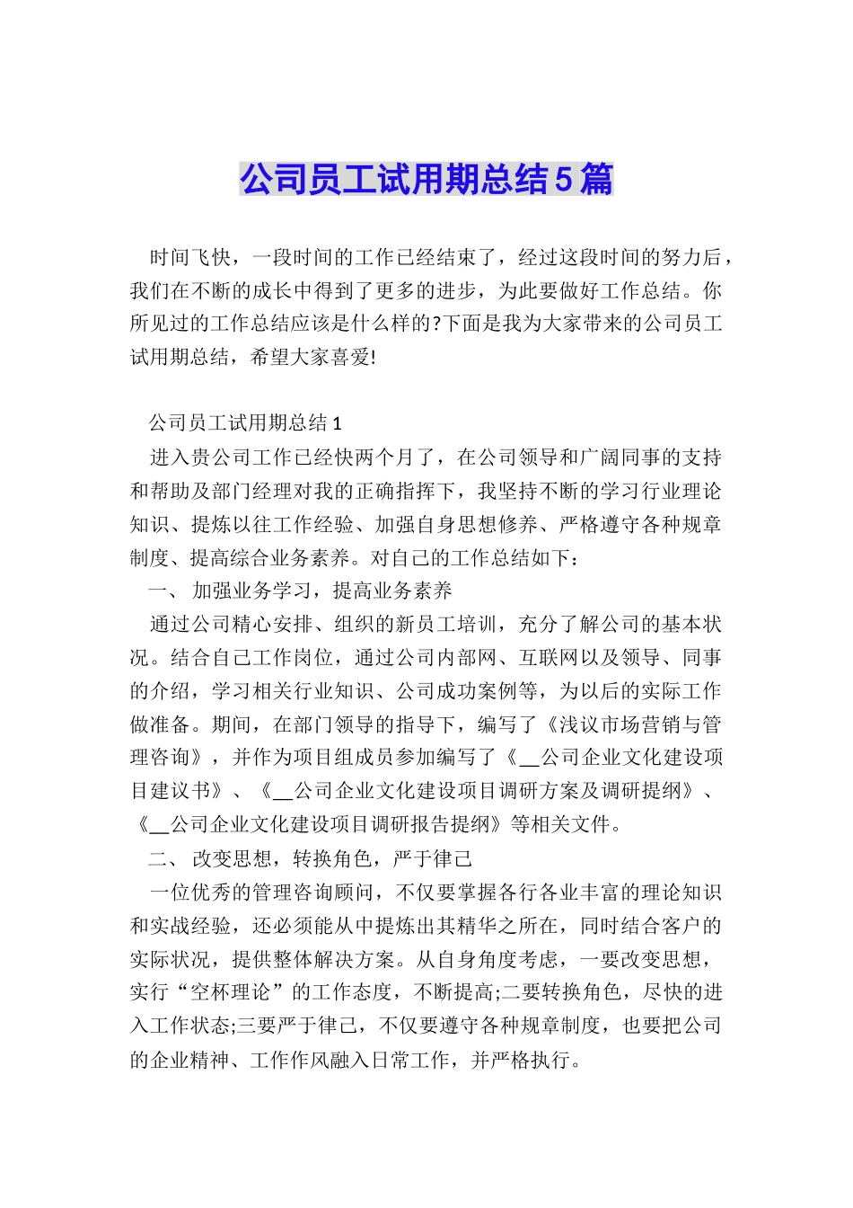 公司员工试用期总结5篇_第1页