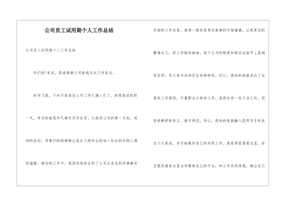 公司员工试用期个人工作总结_第1页