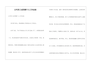 公司员工试用期个人工作总结