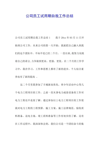 公司员工试用期自我工作总结