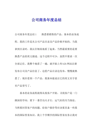 公司商务年度总结