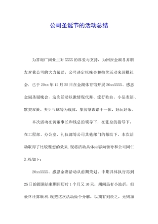 公司圣诞节的活动总结