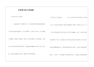 公司实习生工作总结