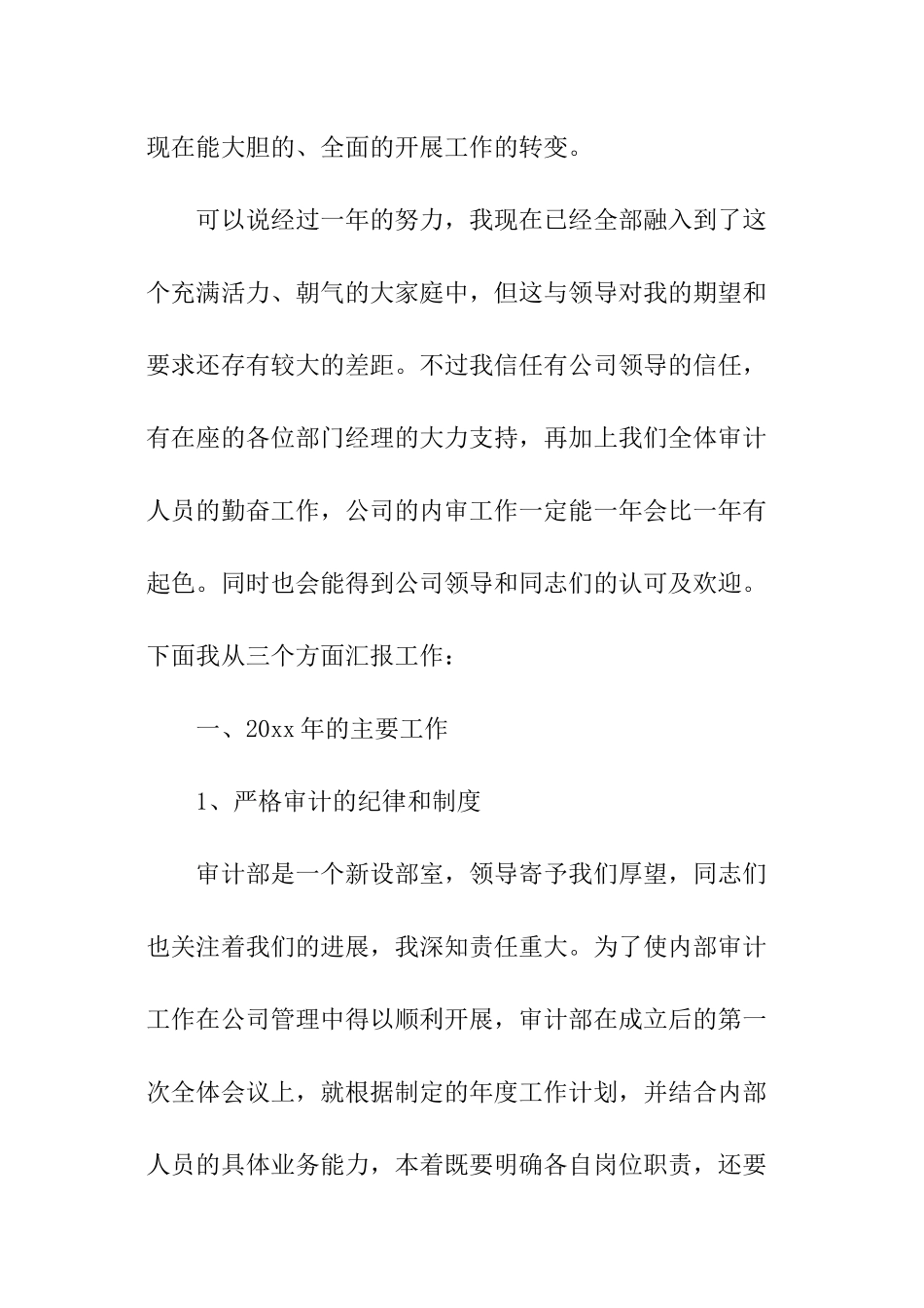公司审计部门年终个人工作报告_第2页