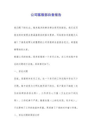 公司客服部自查报告-