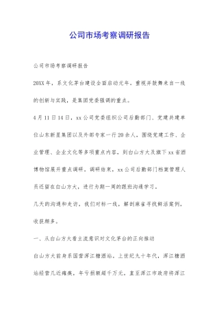 公司市场考察调研报告-