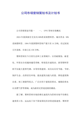 公司市场营销策划书及计划书