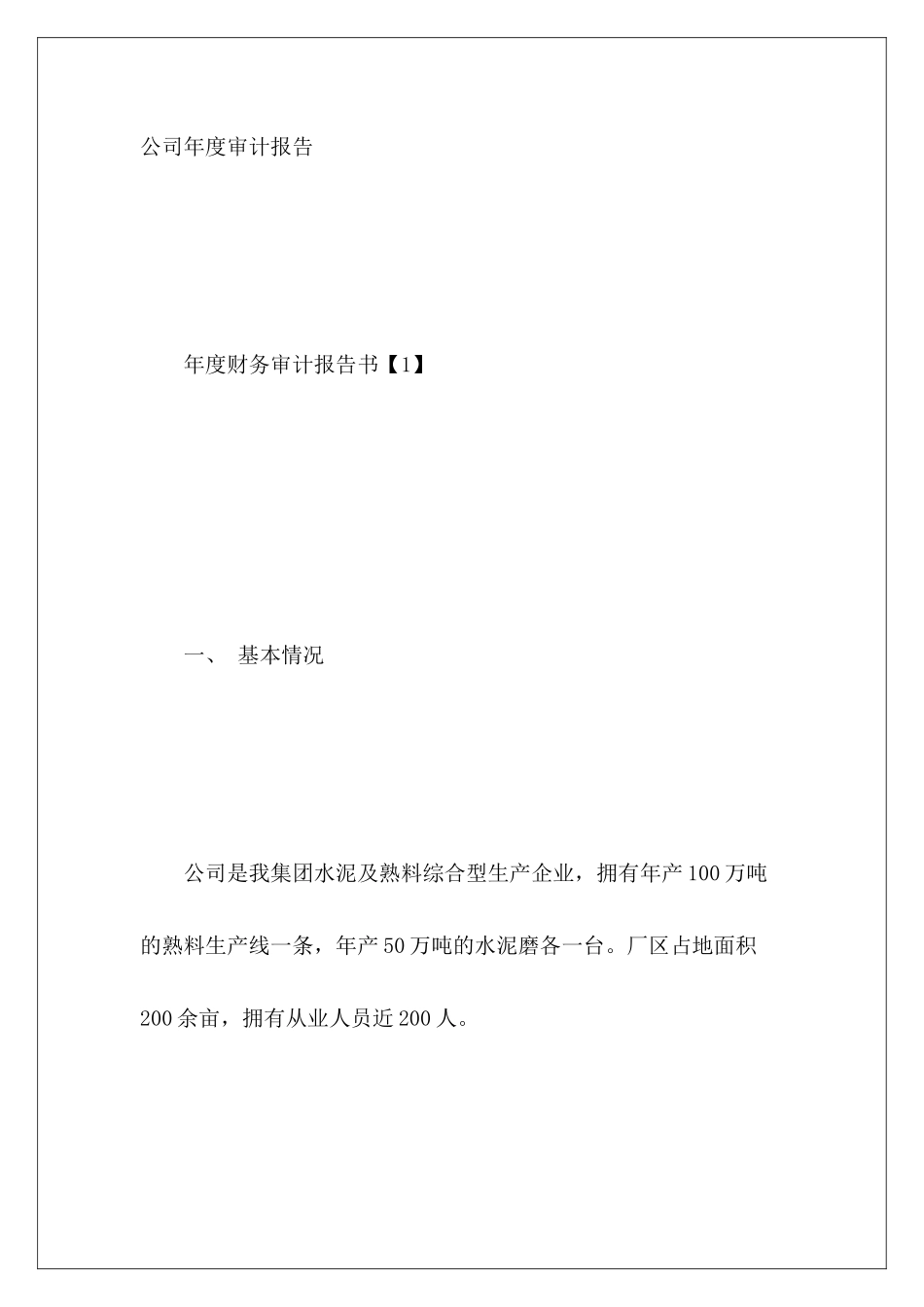 公司年度审计报告_第2页