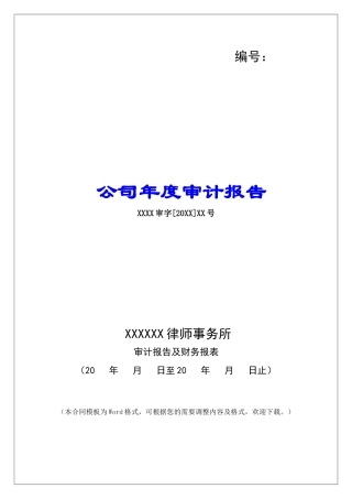 公司年度审计报告