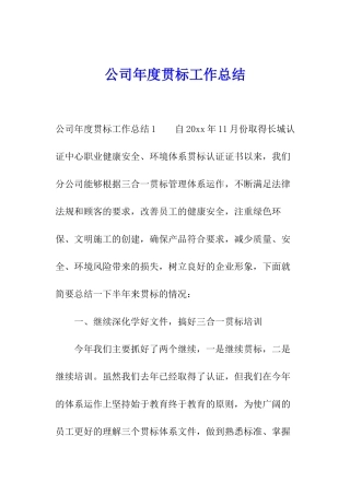 公司年度贯标工作总结