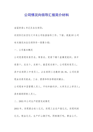 公司情况向领导汇报简介材料-