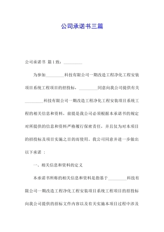公司承诺书三篇