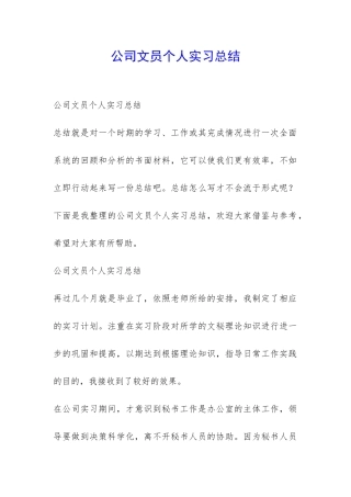 公司文员个人实习总结-