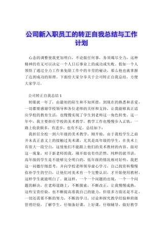 公司新入职员工的转正自我总结与工作计划