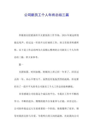 公司新员工个人年终总结三篇
