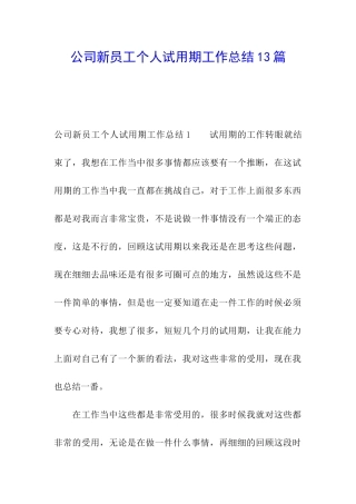 公司新员工个人试用期工作总结13篇