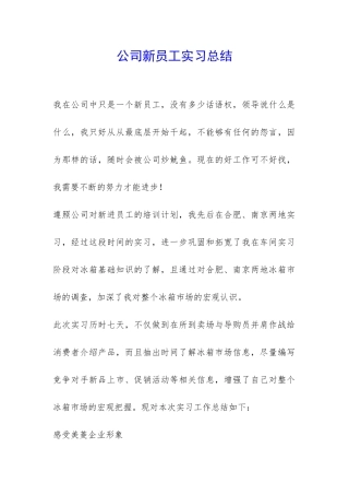 公司新员工实习总结-