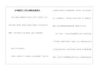 公司新员工工作心得和总结范文