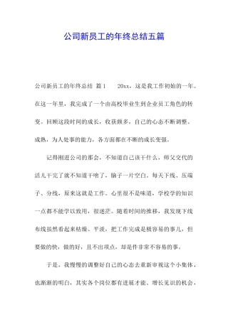 公司新员工的年终总结五篇