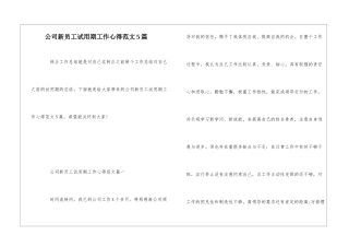公司新员工试用期工作心得范文5篇