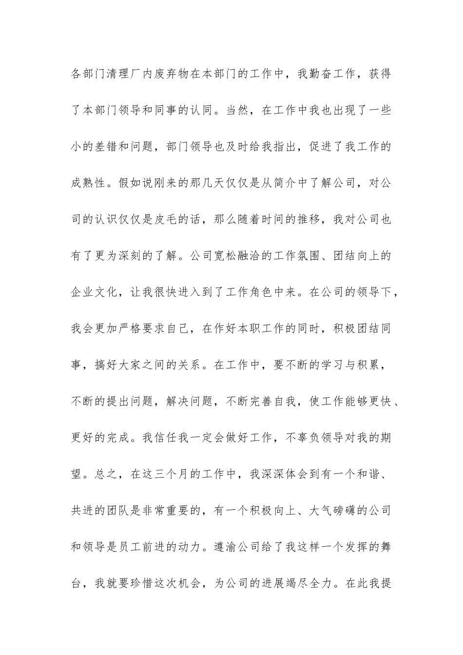 公司新员工转正申请书_第2页