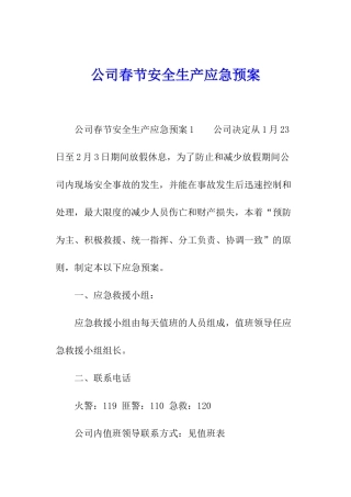 公司春节安全生产应急预案