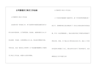 公司普通员工转正工作总结