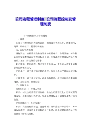 公司流程管理制度-公司流程控制及管理制度