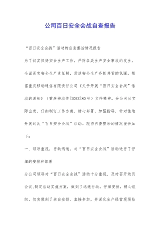 公司百日安全会战自查报告-