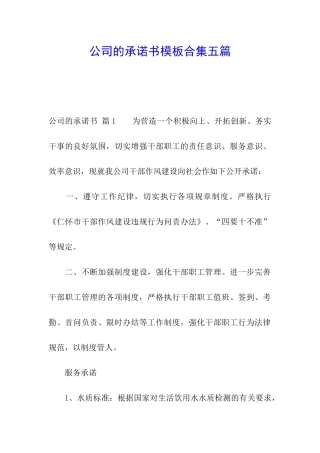 公司的承诺书模板合集五篇