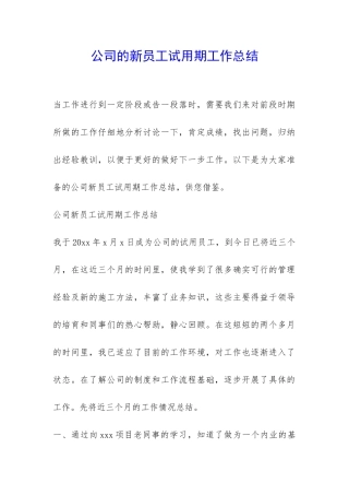 公司的新员工试用期工作总结-