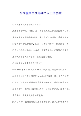 公司程序员试用期个人工作总结-