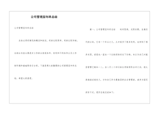 公司管理层年终总结