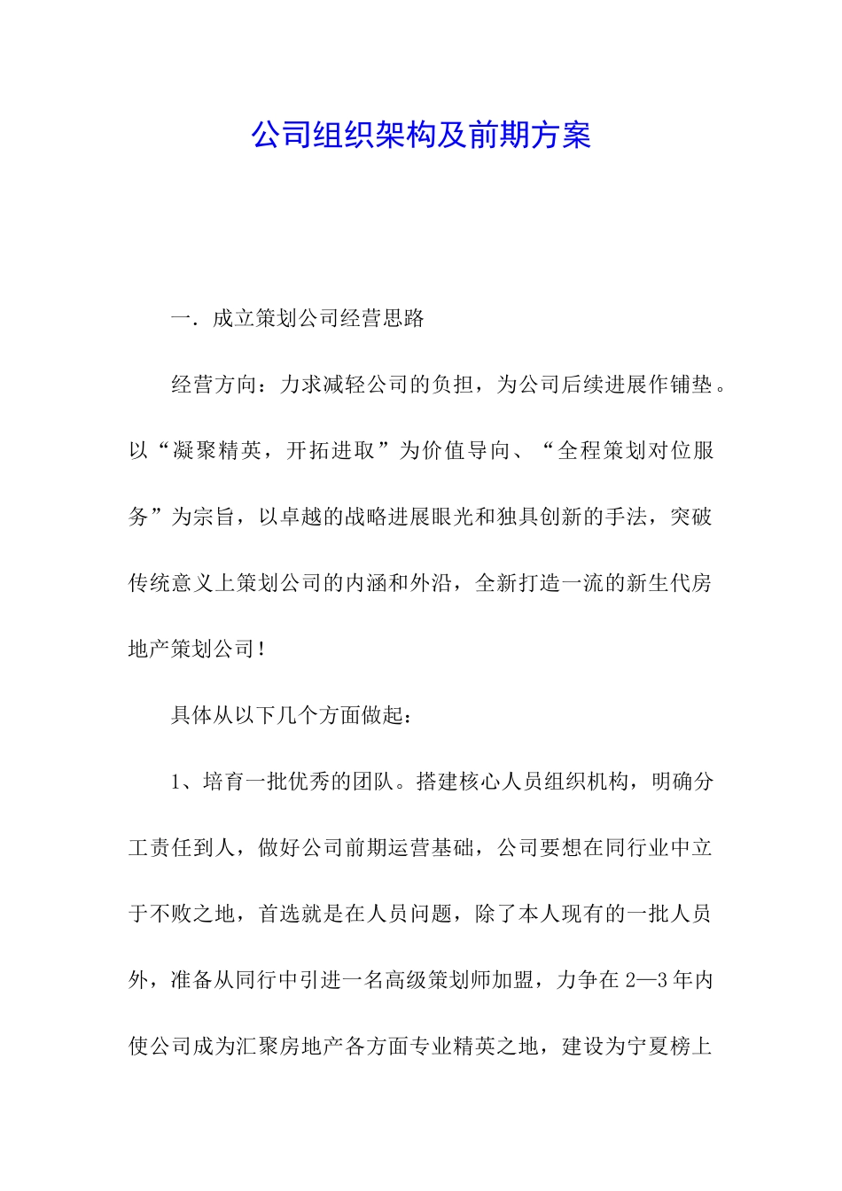 公司组织架构及前期方案_第1页