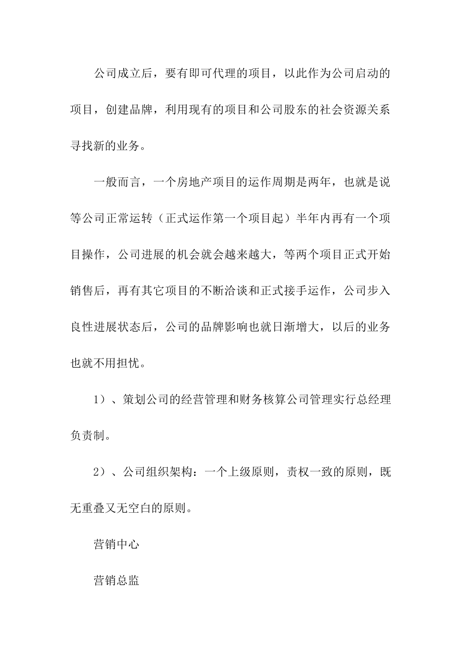 公司组织架构及前期方案_第3页