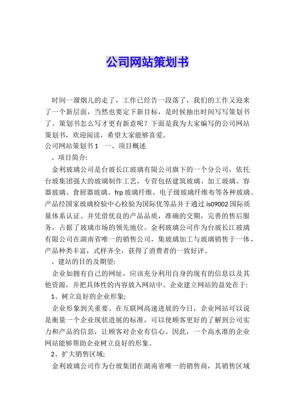 公司网站策划书_第1页
